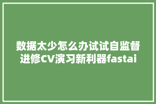 数据太少怎么办试试自监督进修CV演习新利器fastai新教程