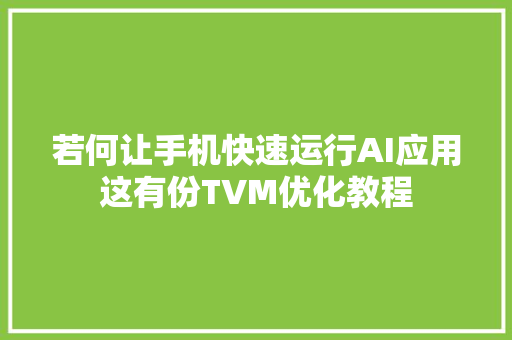 若何让手机快速运行AI应用这有份TVM优化教程