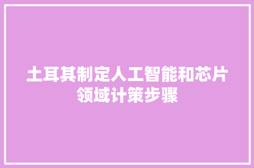 土耳其制定人工智能和芯片领域计策步骤