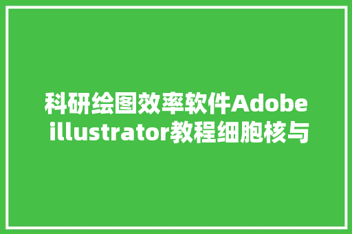 科研绘图效率软件Adobe illustrator教程细胞核与线粒体绘制