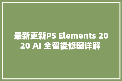 最新更新PS Elements 2020 AI 全智能修图详解 