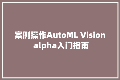 案例操作AutoML Vision alpha入门指南