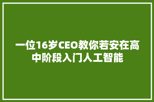 一位16岁CEO教你若安在高中阶段入门人工智能