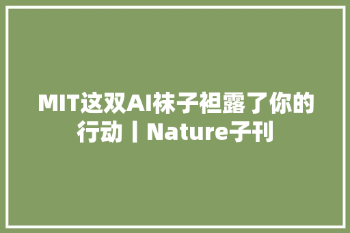 MIT这双AI袜子袒露了你的行动丨Nature子刊