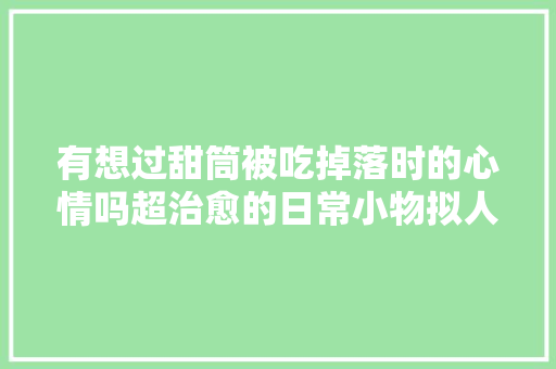 有想过甜筒被吃掉落时的心情吗超治愈的日常小物拟人插画