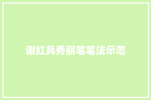 谢红兵秀丽笔笔法示范