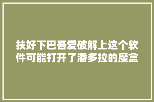 扶好下巴吾爱破解上这个软件可能打开了潘多拉的魔盒