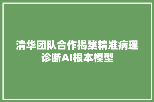 清华团队合作揭橥精准病理诊断AI根本模型