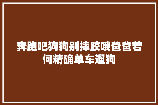 奔跑吧狗狗别摔跤哦爸爸若何精确单车遛狗