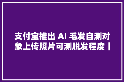 支付宝推出 AI 毛发自测对象上传照片可测脱发程度｜懂点AI