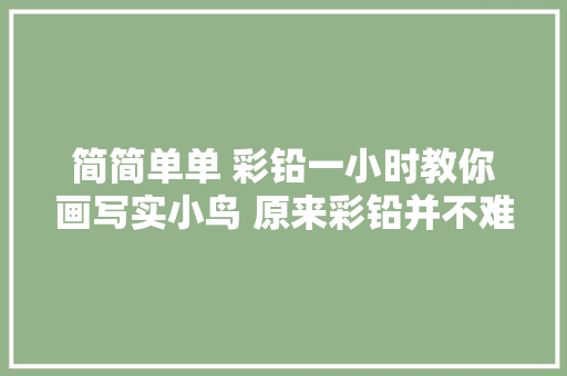 简简单单 彩铅一小时教你画写实小鸟 原来彩铅并不难