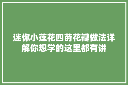 迷你小莲花四莳花瓣做法详解你想学的这里都有讲