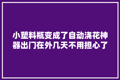 小塑料瓶变成了自动浇花神器出门在外几天不用担心了