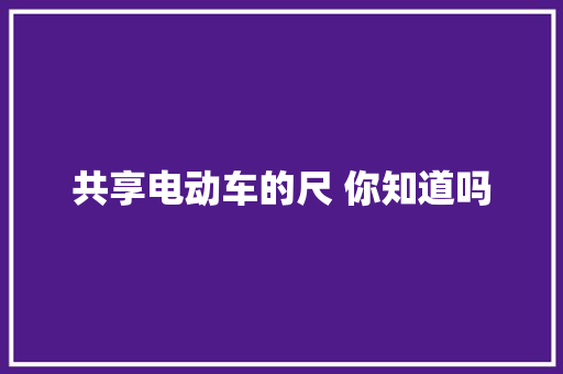 共享电动车的尺 你知道吗