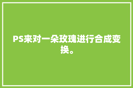 PS来对一朵玫瑰进行合成变换。