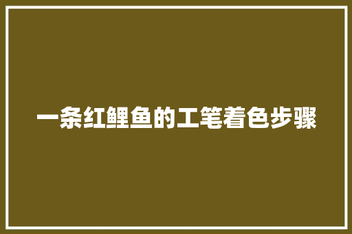 一条红鲤鱼的工笔着色步骤