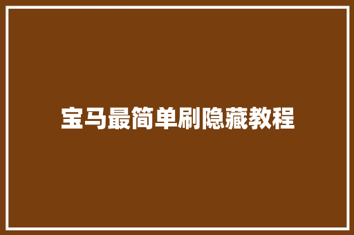 宝马最简单刷隐藏教程