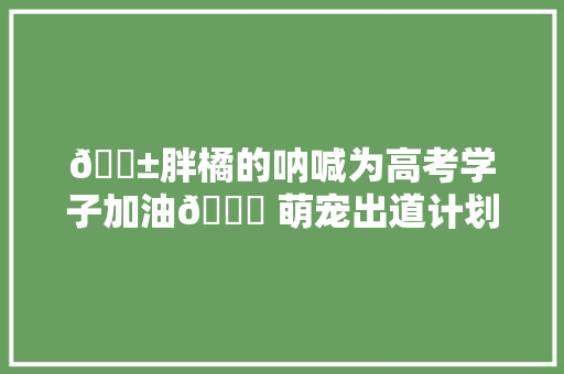 🐱胖橘的呐喊为高考学子加油🎉 萌宠出道计划