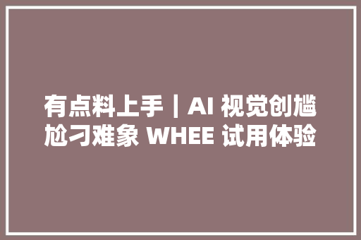 有点料上手｜AI 视觉创尴尬刁难象 WHEE 试用体验平均水平以上