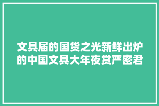 文具届的国货之光新鲜出炉的中国文具大年夜赏严密君替你剖断了