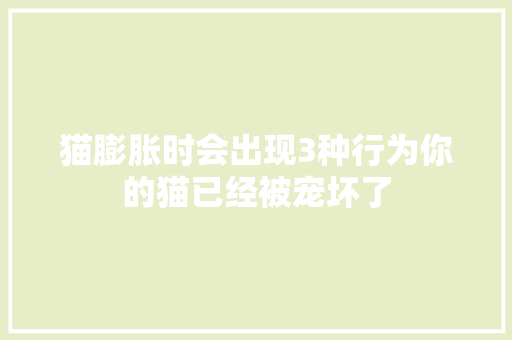 猫膨胀时会出现3种行为你的猫已经被宠坏了