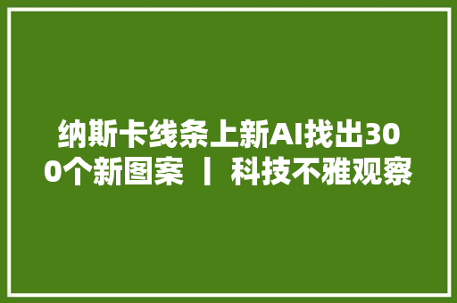 纳斯卡线条上新AI找出300个新图案 丨 科技不雅观察