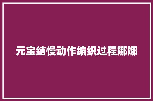 元宝结慢动作编织过程娜娜