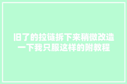 旧了的拉链拆下来稍微改造一下我只服这样的附教程