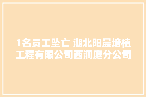 1名员工坠亡 湖北阳晨培植工程有限公司西洞庭分公司622事件查明