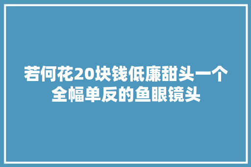 若何花20块钱低廉甜头一个全幅单反的鱼眼镜头