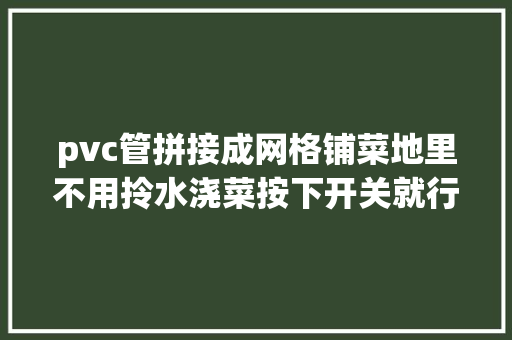 pvc管拼接成网格铺菜地里不用拎水浇菜按下开关就行真方便