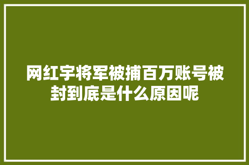 网红宇将军被捕百万账号被封到底是什么原因呢