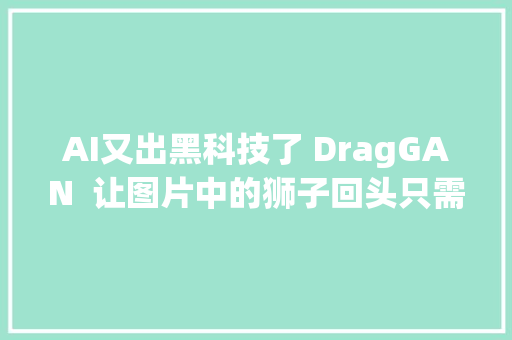 AI又出黑科技了 DragGAN  让图片中的狮子回头只需要轻轻一点