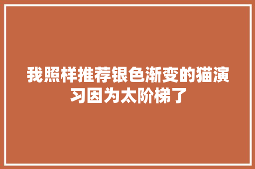 我照样推荐银色渐变的猫演习因为太阶梯了