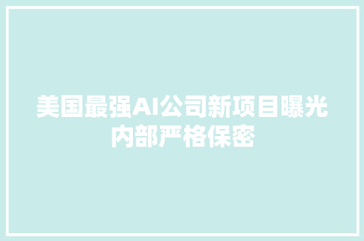 美国最强AI公司新项目曝光内部严格保密