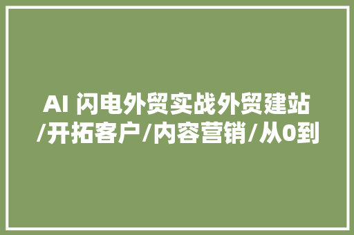 AI 闪电外贸实战外贸建站/开拓客户/内容营销/从0到3做外贸AI