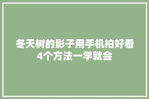 冬天树的影子用手机拍好看4个方法一学就会