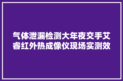 气体泄漏检测大年夜交手艾睿红外热成像仪现场实测效果惊艳