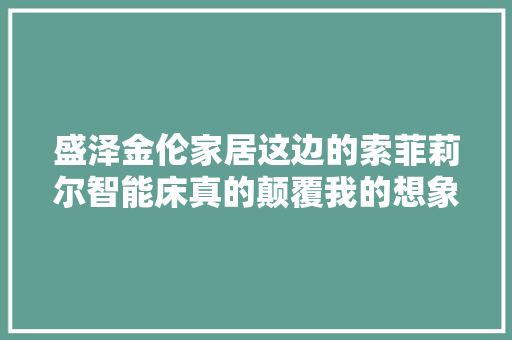 盛泽金伦家居这边的索菲莉尔智能床真的颠覆我的想象高端床品