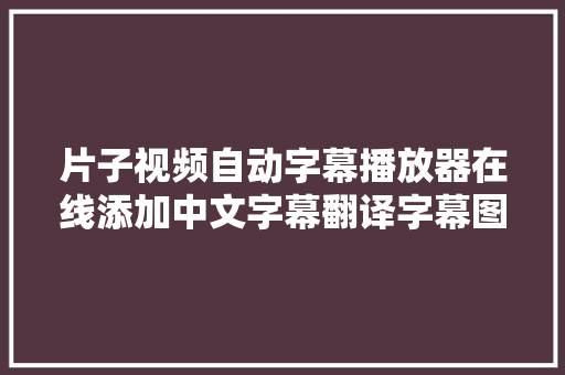 片子视频自动字幕播放器在线添加中文字幕翻译字幕图文教程