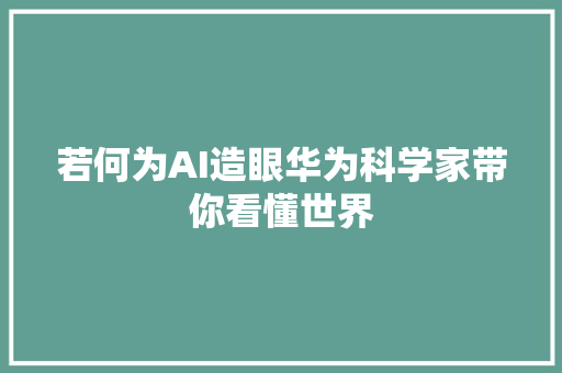 若何为AI造眼华为科学家带你看懂世界