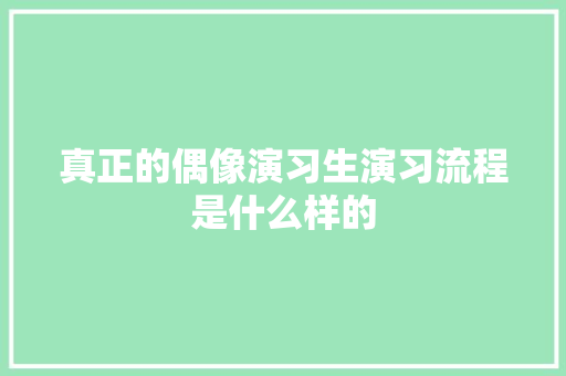 真正的偶像演习生演习流程是什么样的