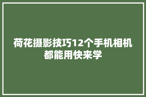 荷花摄影技巧12个手机相机都能用快来学