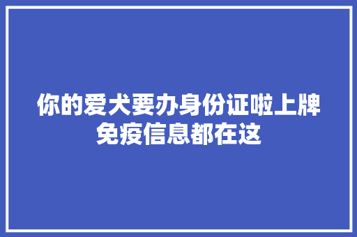 你的爱犬要办身份证啦上牌免疫信息都在这