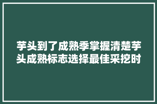 芋头到了成熟季掌握清楚芋头成熟标志选择最佳采挖时间