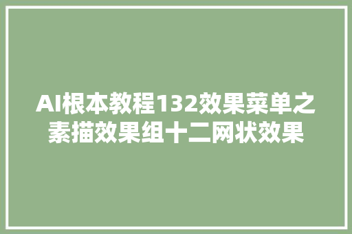 AI根本教程132效果菜单之素描效果组十二网状效果