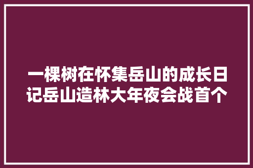 一棵树在怀集岳山的成长日记岳山造林大年夜会战首个AI视频