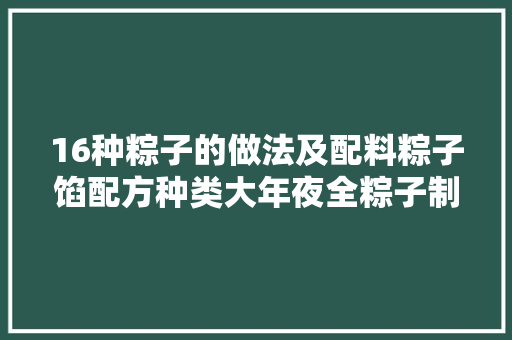 16种粽子的做法及配料粽子馅配方种类大年夜全粽子制作方法教程