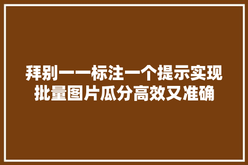 拜别一一标注一个提示实现批量图片瓜分高效又准确