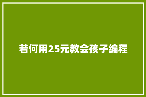 若何用25元教会孩子编程